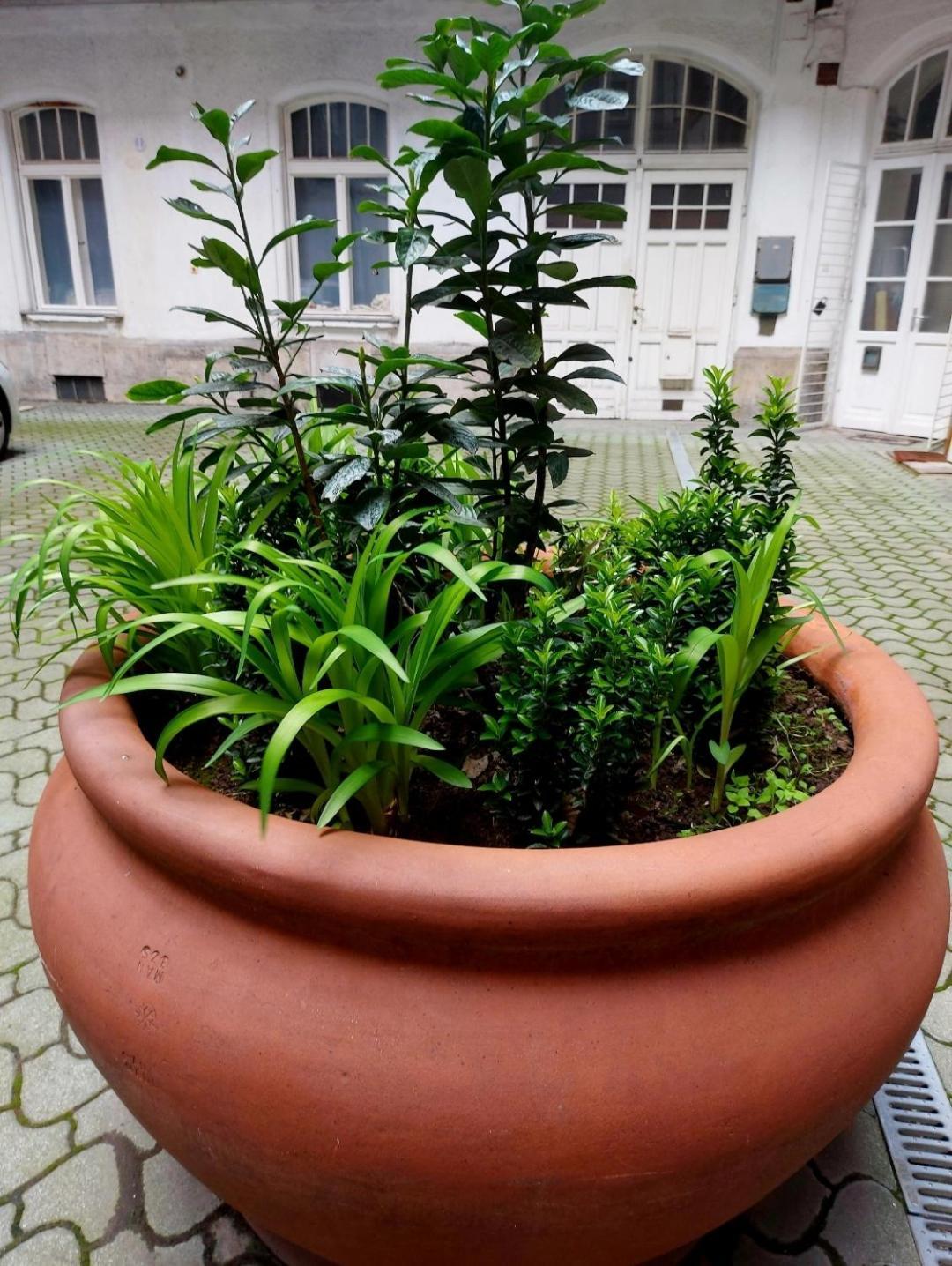 Like Studio City Centrum, Wifi, Terrace Budapešť Exteriér fotografie